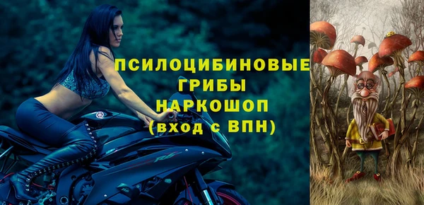 Альфа ПВП Алексин