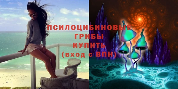 Альфа ПВП Алексин